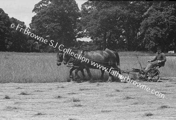 PLOUGHING